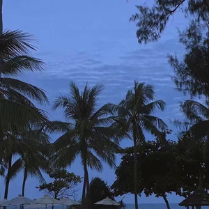 18禁污网站在线看
